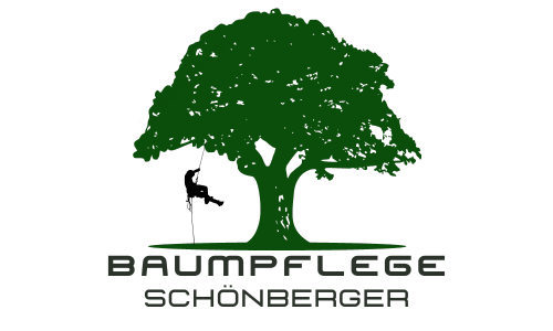 Baumpflege-Schönberger